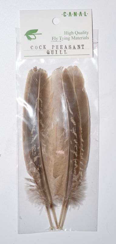 CANAL Cock Pheasant Quill