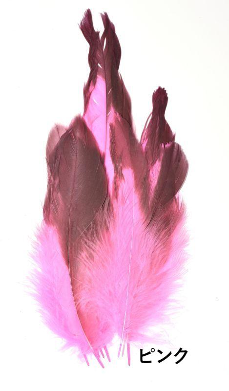 Canal Eagle Hackle