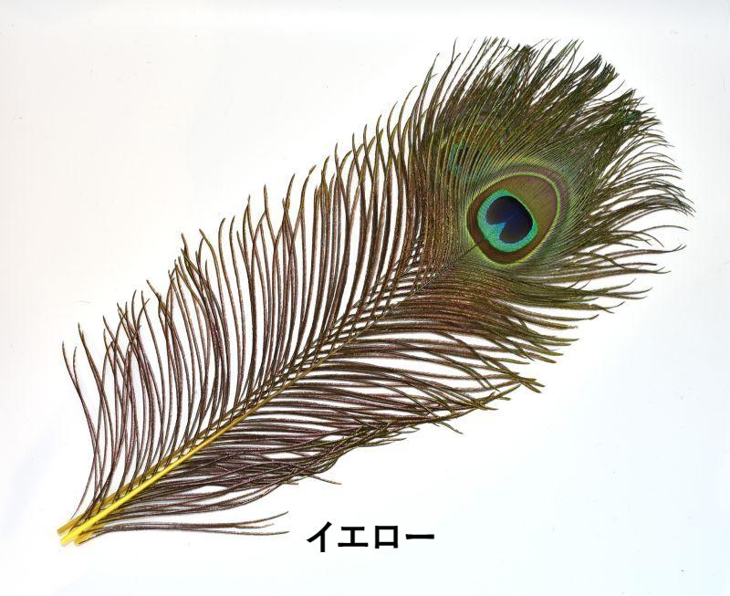 CANAL Peacock Eye&Dide
