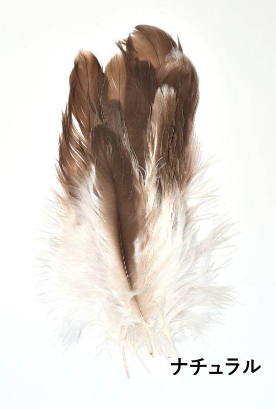 Canal Eagle Hackle