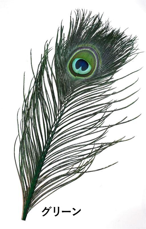 CANAL Peacock Eye&Dide