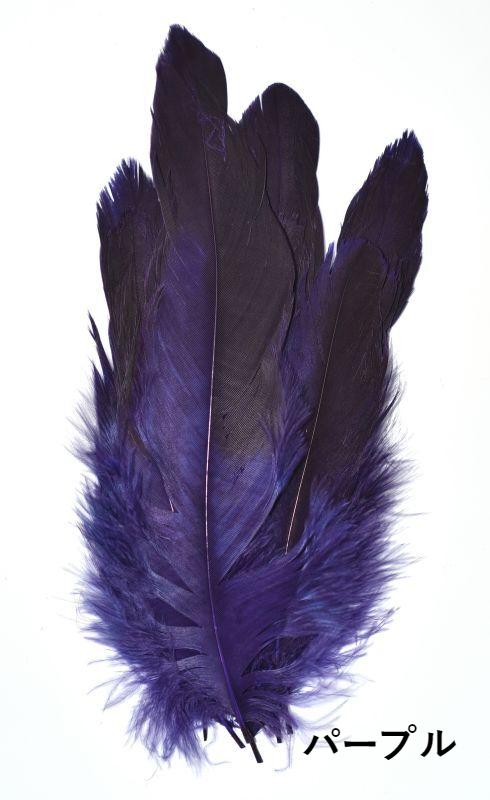 Canal Eagle Hackle