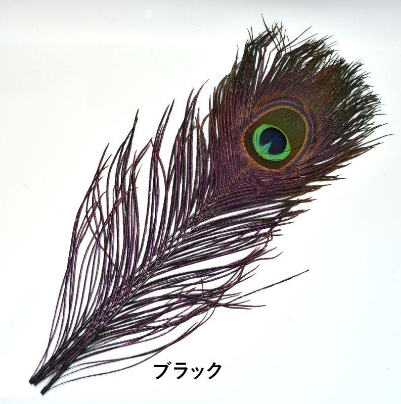 CANAL Peacock Eye&Dide