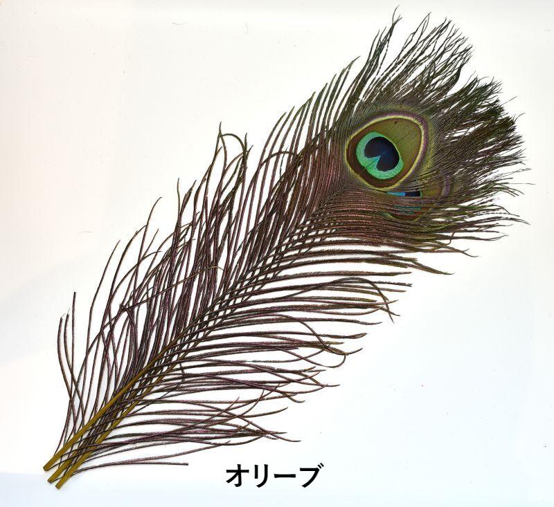 CANAL Peacock Eye&Dide