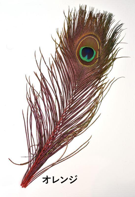 CANAL Peacock Eye&Dide