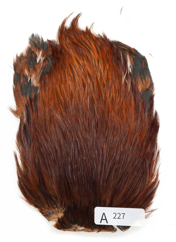 India Cock Neck Cape A201-A250