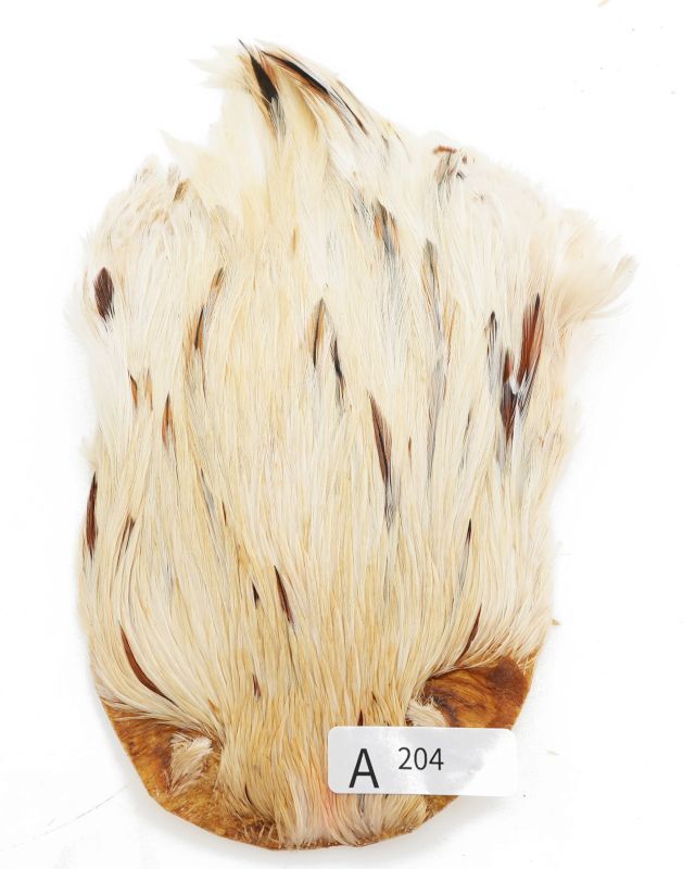 India Cock Neck Cape A201-A250