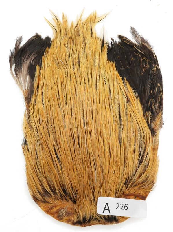 India Cock Neck Cape A201-A250