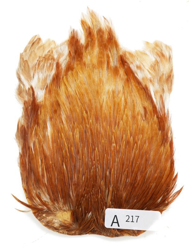 India Cock Neck Cape A201-A250