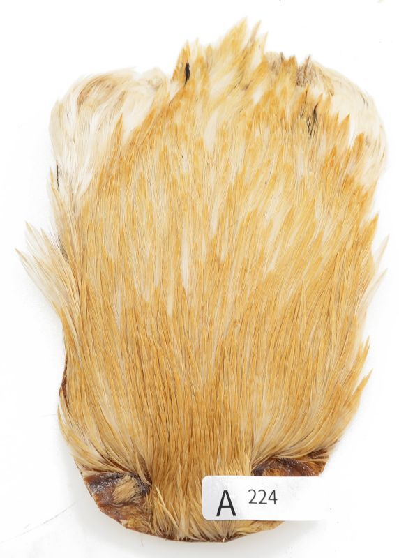 India Cock Neck Cape A201-A250