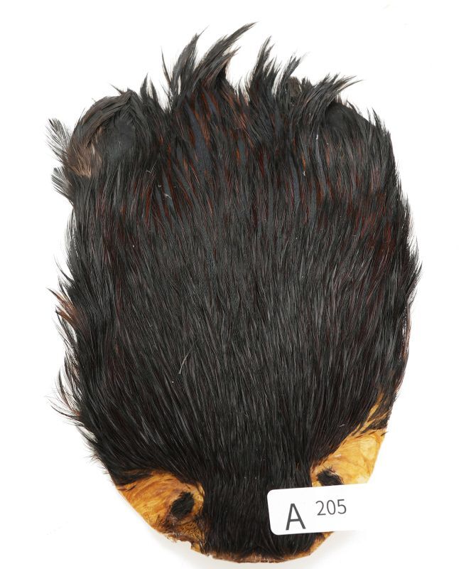 India Cock Neck Cape A201-A250