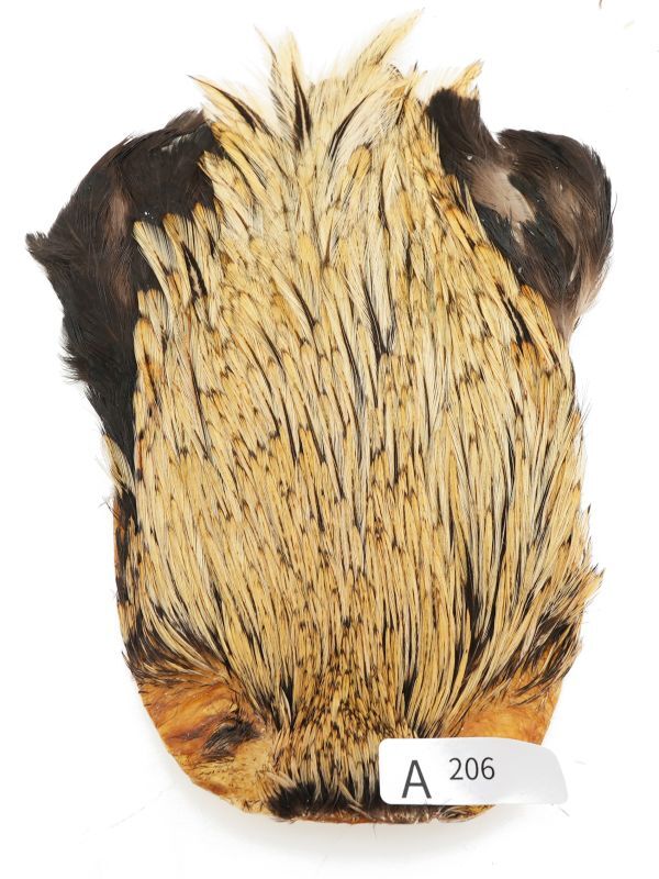 India Cock Neck Cape A201-A250