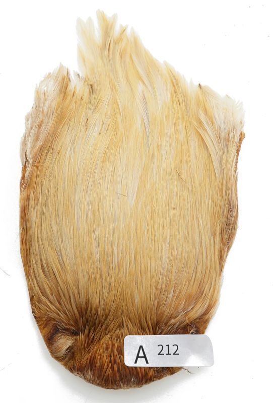 India Cock Neck Cape A201-A250