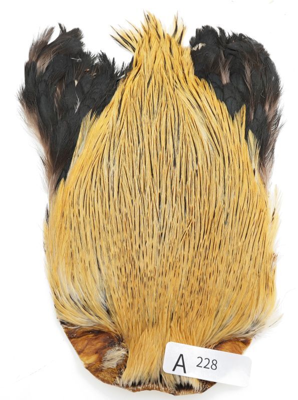 India Cock Neck Cape A201-A250