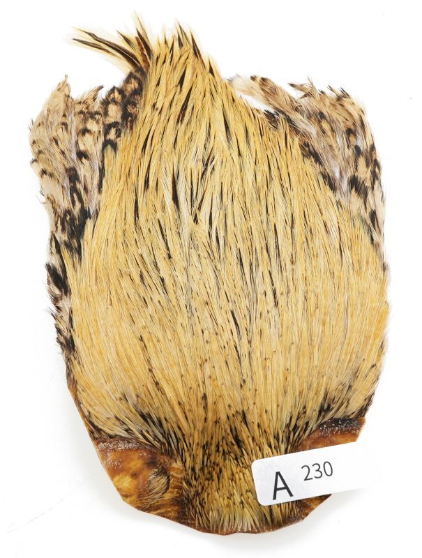 India Cock Neck Cape A201-A250