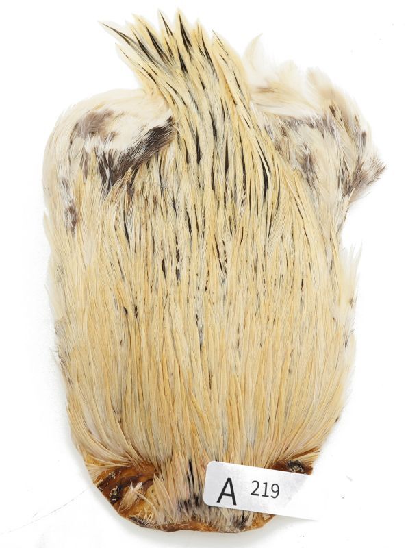 India Cock Neck Cape A201-A250
