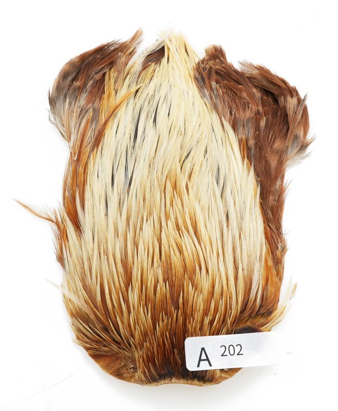 India Cock Neck Cape A201-A250