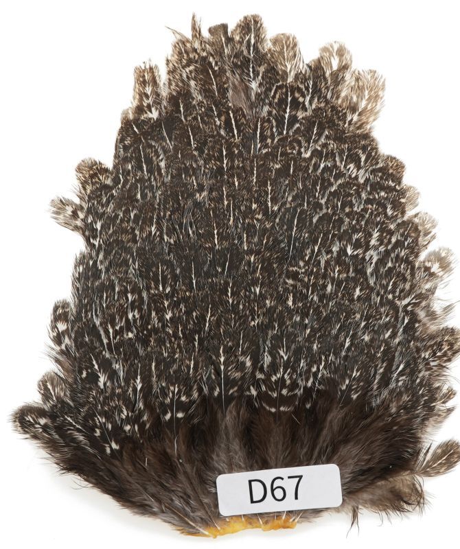 India Hen Saddle D51-D100
