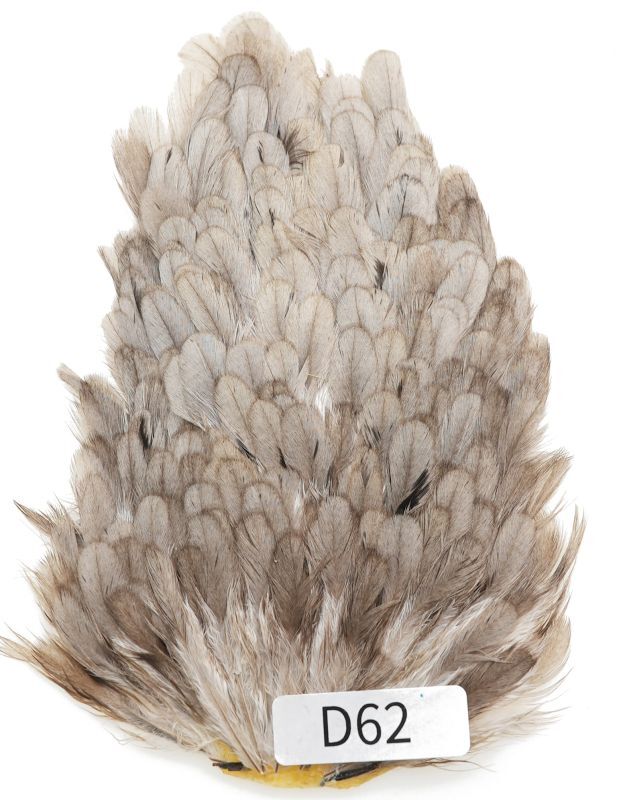 India Hen Saddle D51-D100