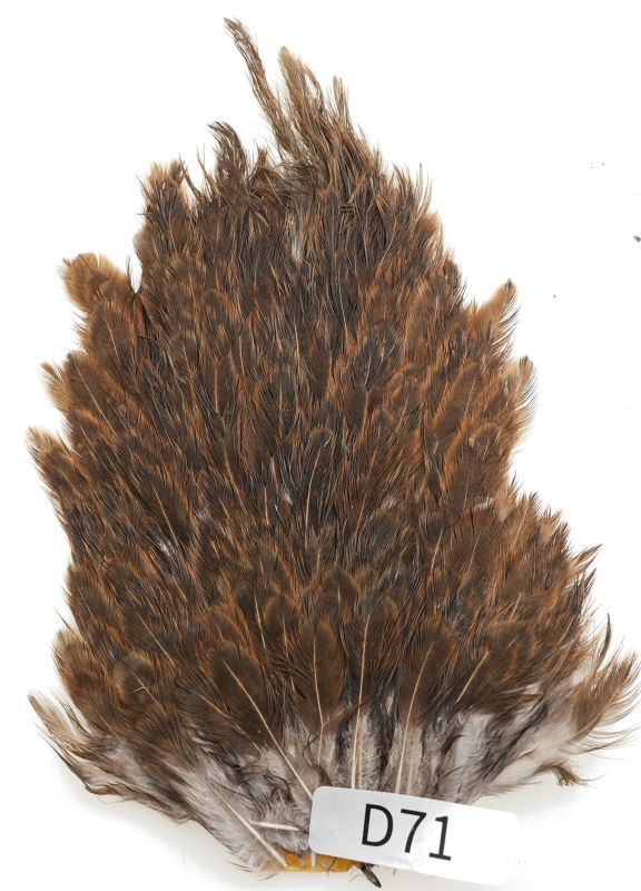 India Hen Saddle D51-D100