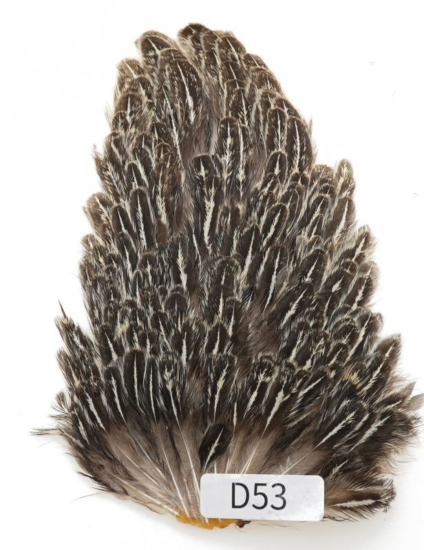 India Hen Saddle D51-D100