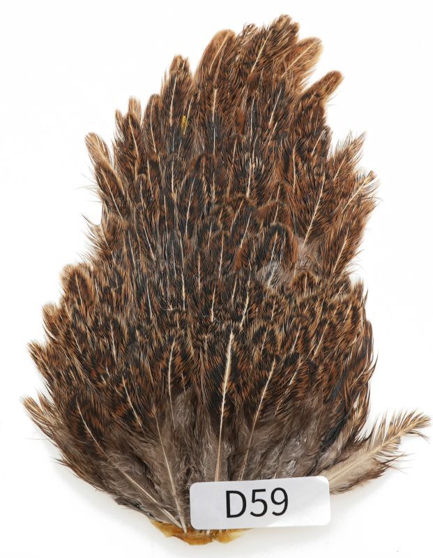 India Hen Saddle D51-D100