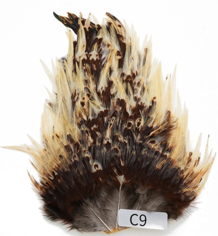 India Cock Saddle C1-C50