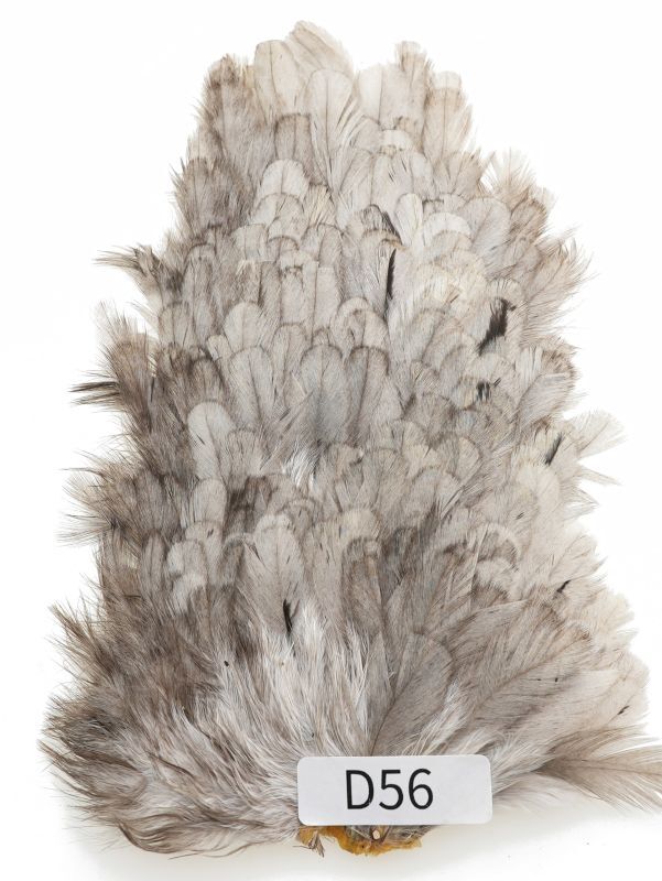 India Hen Saddle D51-D100