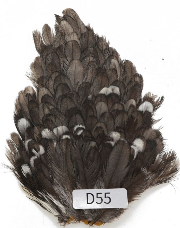 India Hen Saddle D51-D100