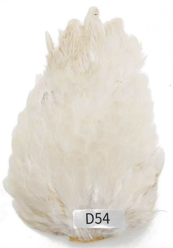 India Hen Saddle D51-D100