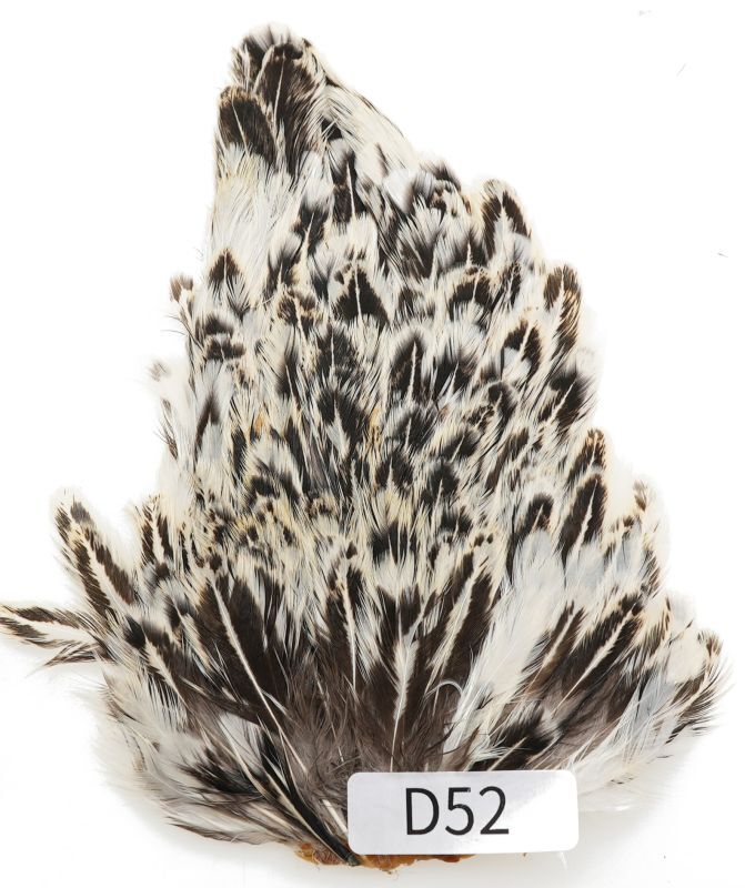 India Hen Saddle D51-D100