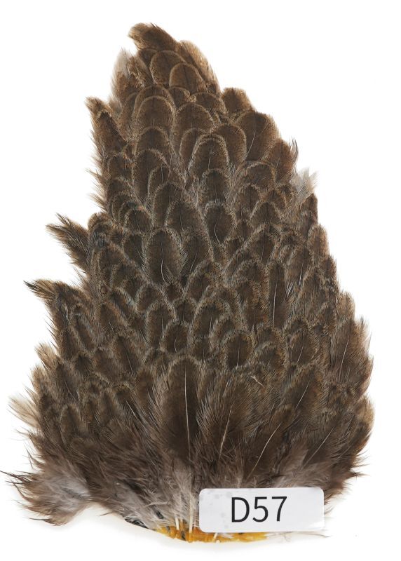 India Hen Saddle D51-D100