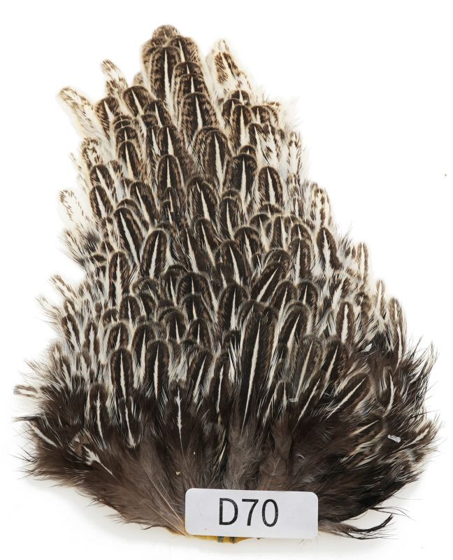 India Hen Saddle D51-D100