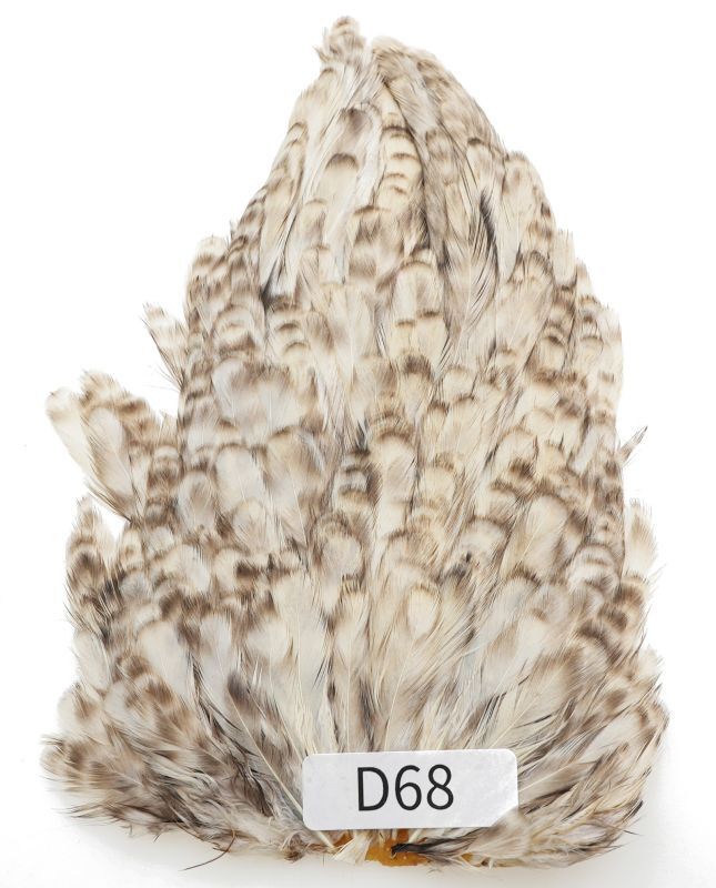 India Hen Saddle D51-D100
