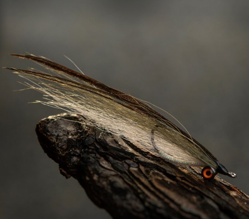 NS150 Curved Shrimp