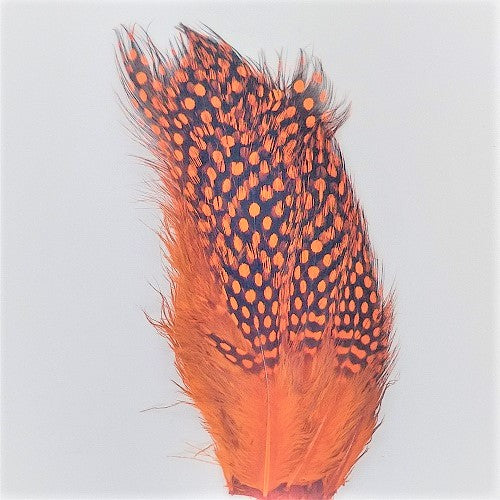 Guinea Feather Sweetfish