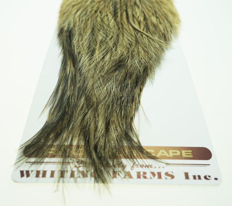 Coq de Leon Rooster Cape Variant No16