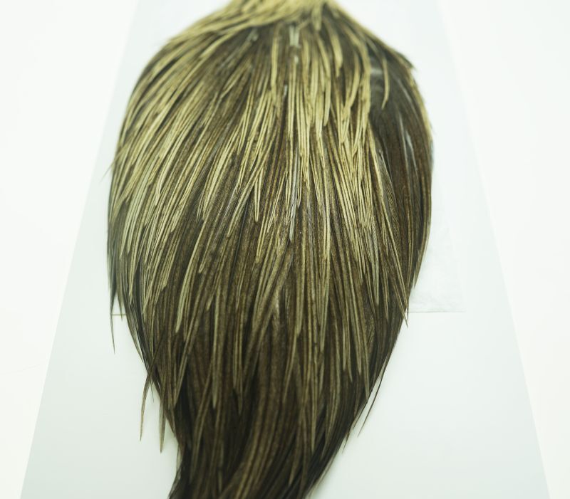 Heritage Rooster Cape No25