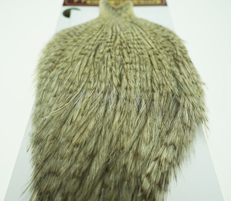 Coq de Leon Rooster Cape Variant No13