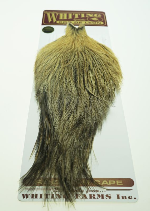 Coq de Leon Rooster Cape Variant No16