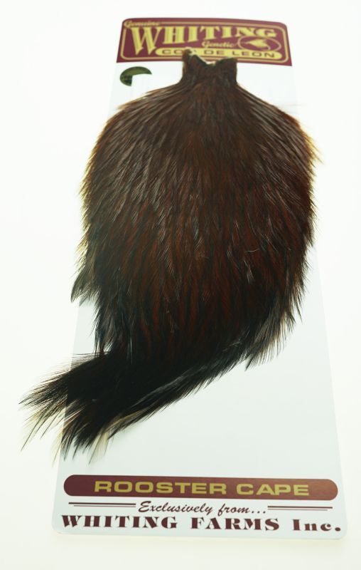 Coq de Leon Rooster Cape Brown No10
