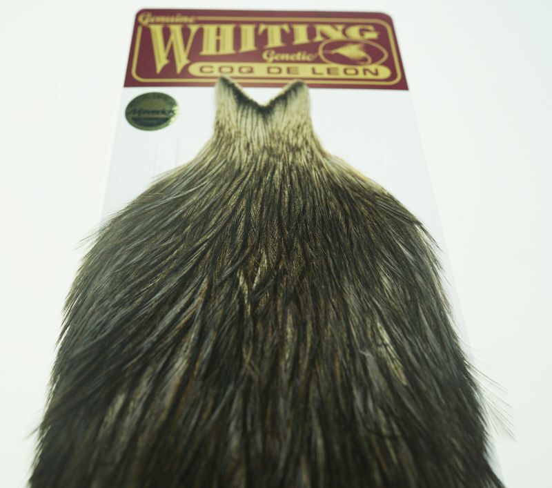 Coq de Leon Rooster Cape Variant No12