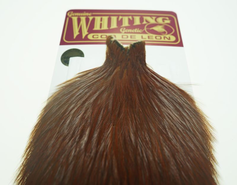 Coq de Leon Rooster Cape Brown No10