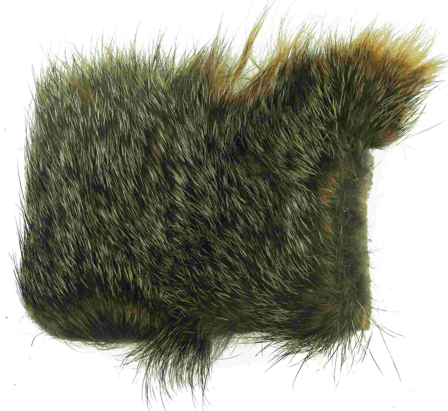 CANAL PINES SQUIRREL