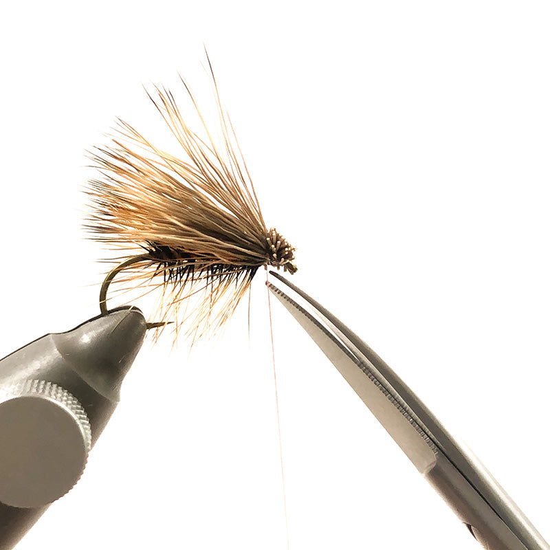 The Fly Tier - Super Cut / Curv: RENOMED
