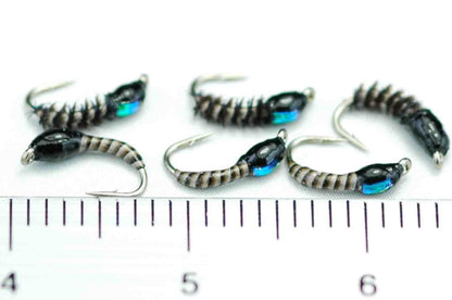 Chrysalis Flash Pupa Peacock #18 Set of 6