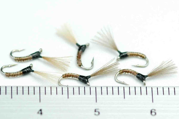 CDC Midge Pupa Clear Brown #22 Set of 6