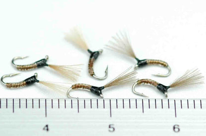 CDC Midge Pupa Clear Brown #22 Set of 6