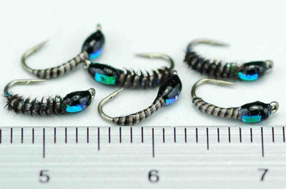 Chrysalis Flash Pupa Peacock #16 Set of 6