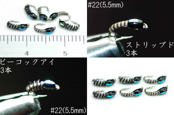 Yusurika Flash Pupa Peacock #22 Set of 6